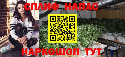 ГАЛЛЮЦИНОГЕННЫЕ ГРИБЫ Тара