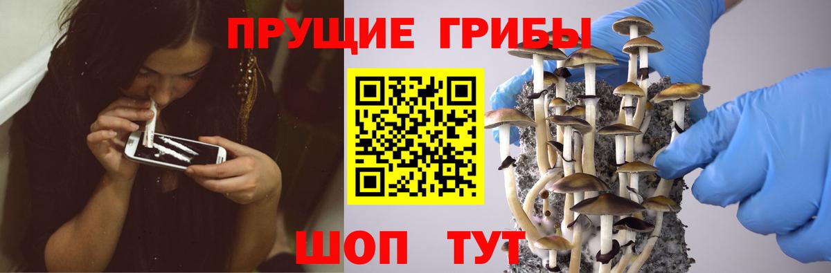 Галлюциногенные грибы Magic Shrooms  Псилоцибиновые грибы Magic Shrooms  наркошоп  Нижнеудинск  Вход с VPN 